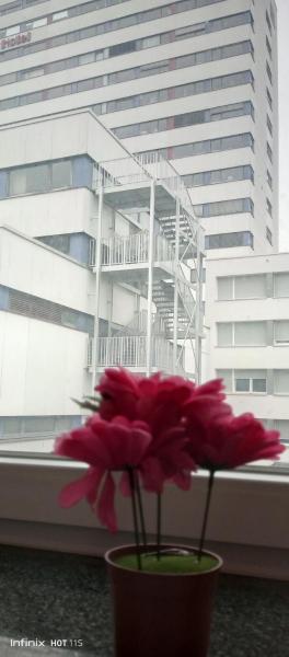 Maya Zimmer in Heilbronn Zentrum